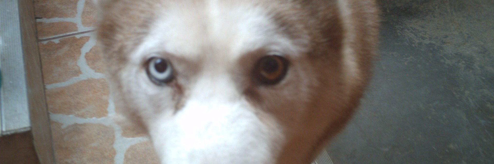 GiovannaCastil's profile banner image