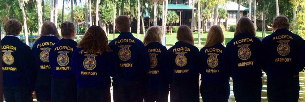 HarmonyFFA's profile banner image