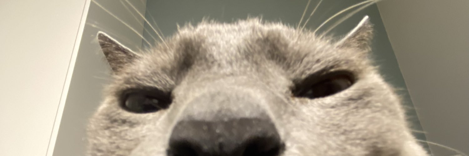 ____naomi_'s profile banner image
