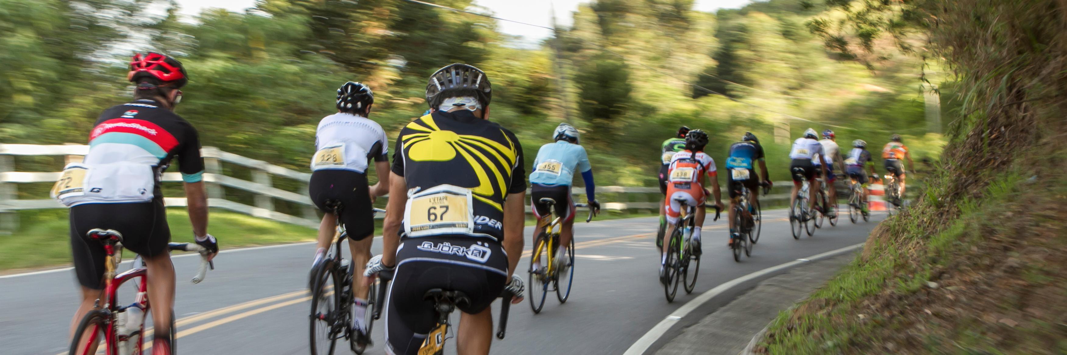 letapebrasil's profile banner image