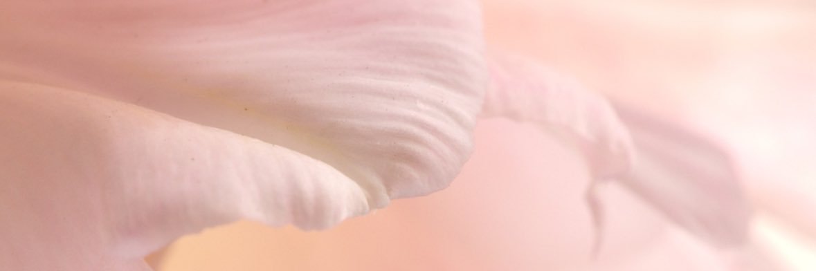 ricca110's profile banner image
