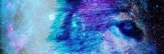 camifracassi's profile banner image