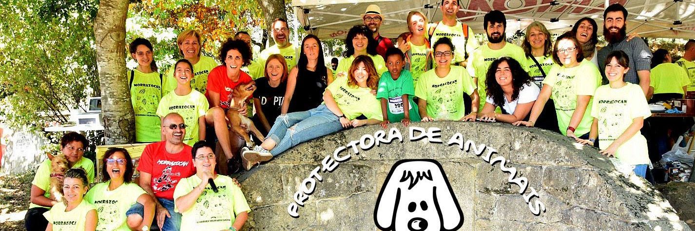 ProteMorrazo's profile banner image