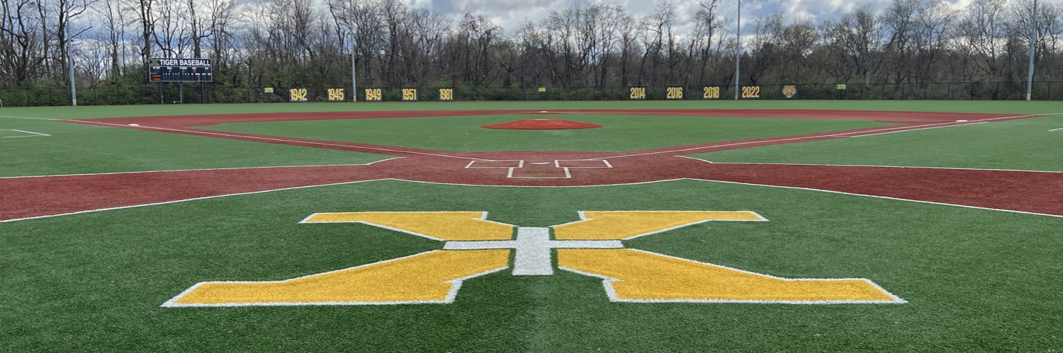 Tiger Baseball banner