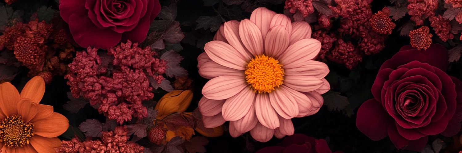 KeylaZuluaga's profile banner image
