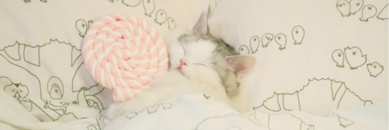 LirysWhite's profile banner image