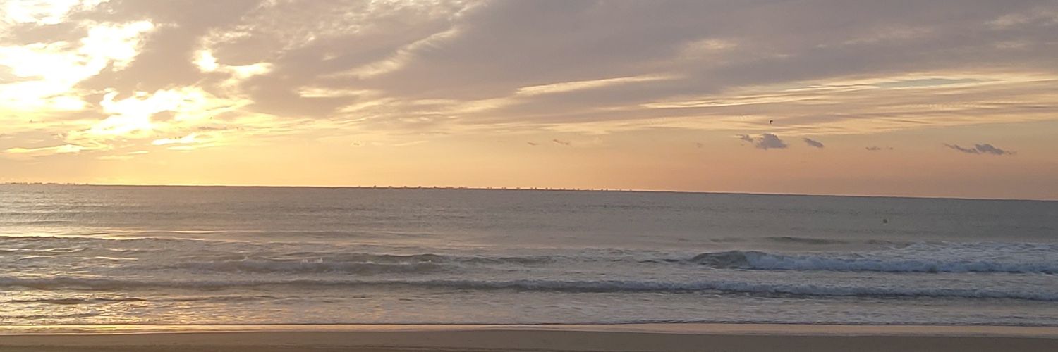 migror's profile banner image