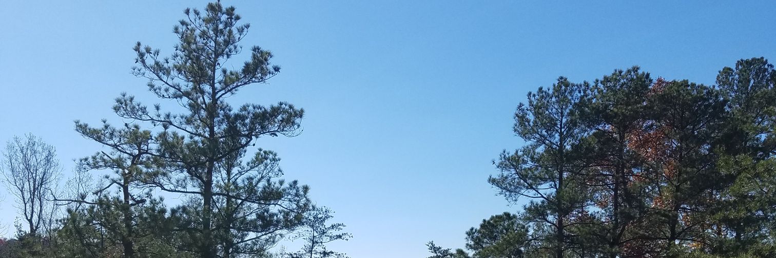 TheRealErock94's profile banner image