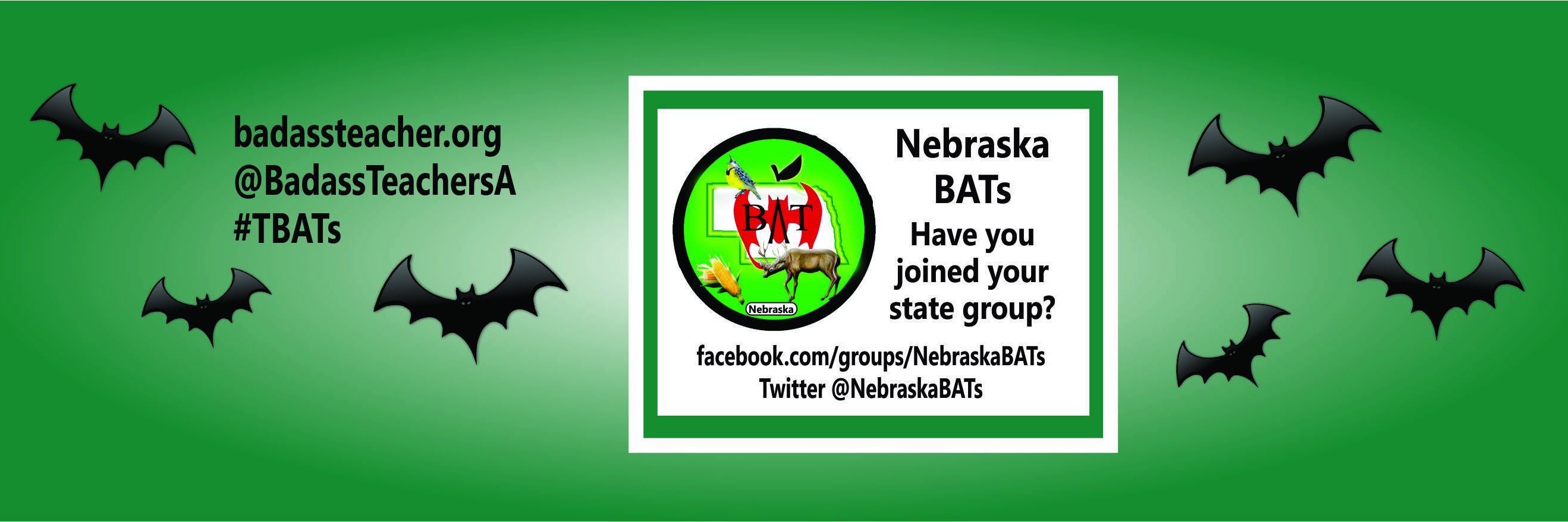 NebraskaBATs banner