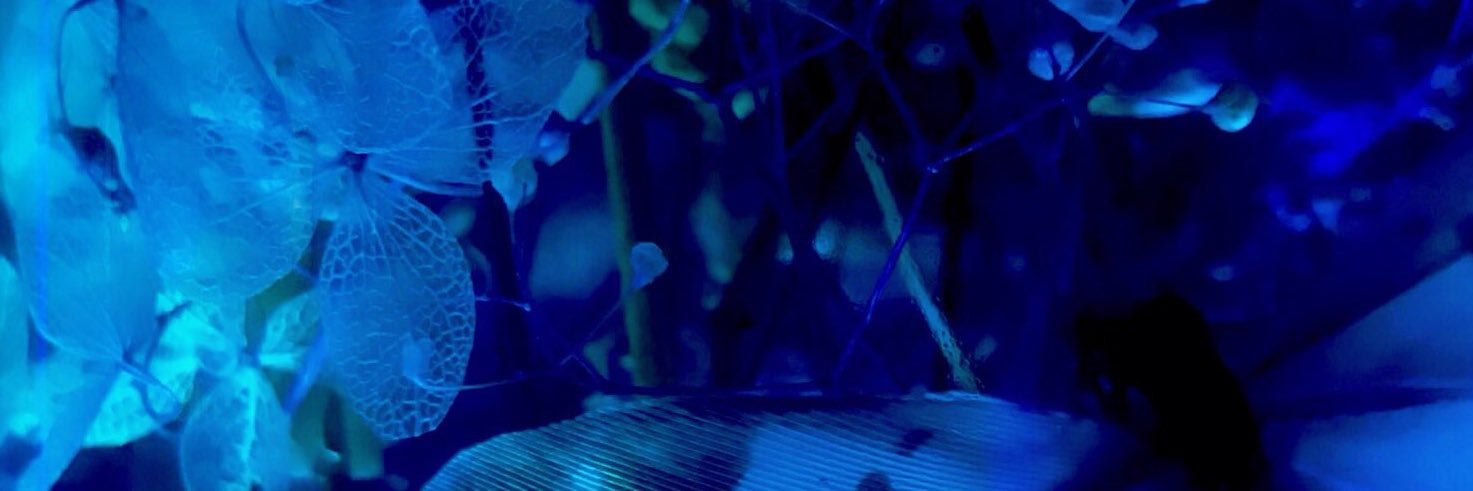 The Incest Guy banner