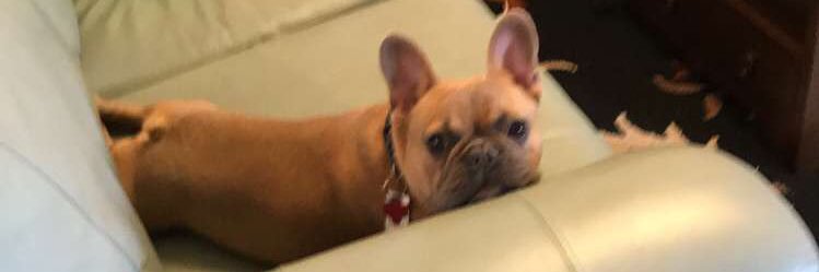TinerZach's profile banner image
