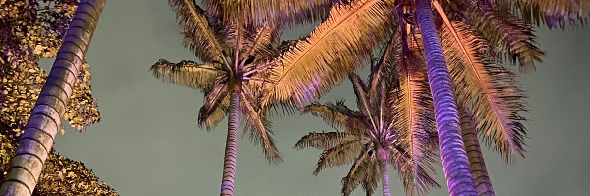 LauraBello177's profile banner image