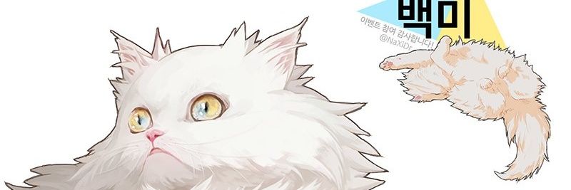whitericecat's profile banner image
