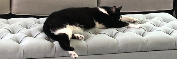 StacySCochran1 Profile Banner