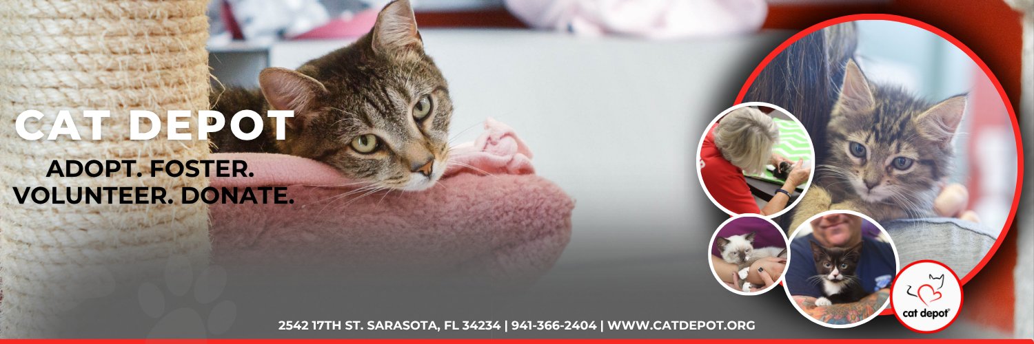 Cat Depot banner