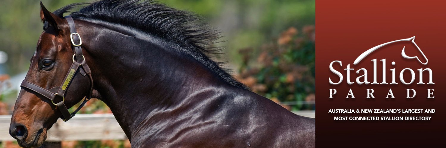 Stallion_Parade's profile banner image