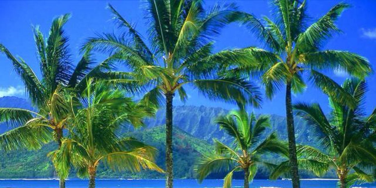 lenak62's profile banner image