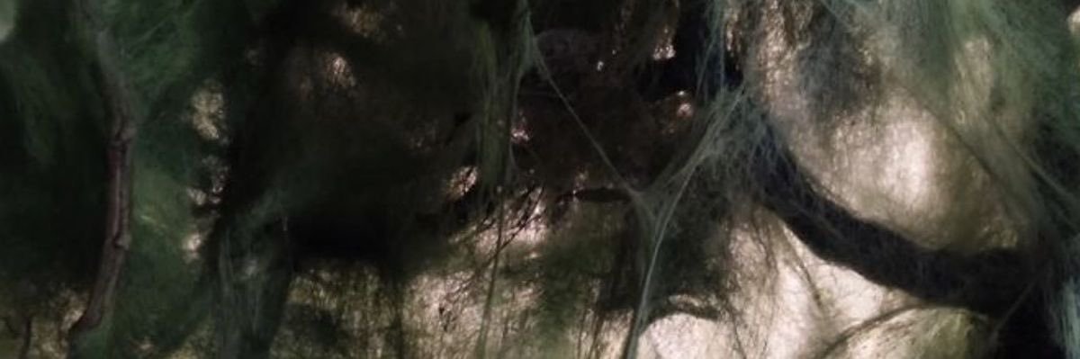 rule 🇪🇸 banner