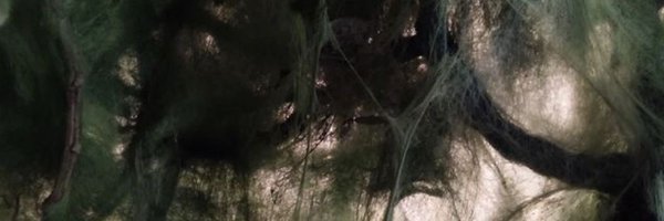 alternsa Profile Banner