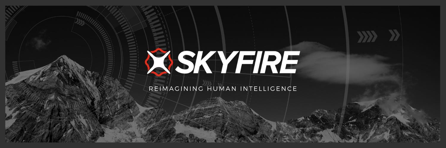 Skyfire Consulting banner