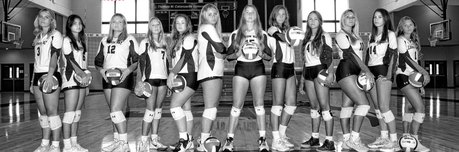 Lemon Bay Volleyball banner