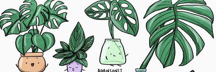 AlyssaDSather's profile banner image