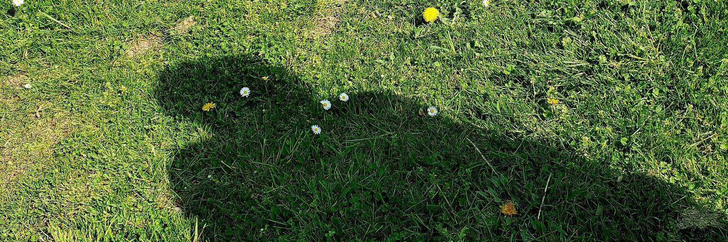 _color26's profile banner image