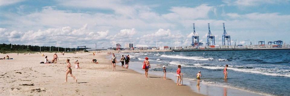 Abby Hehemann banner