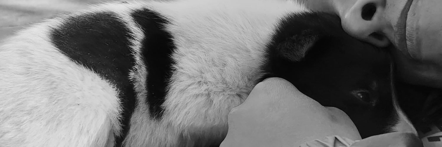 aperez015's profile banner image