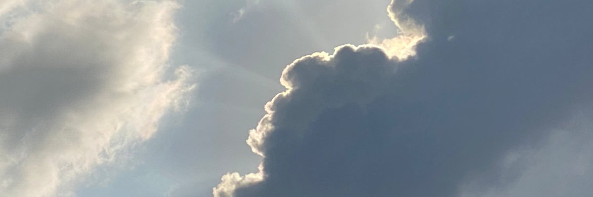 ZonabAlHashemy's profile banner image