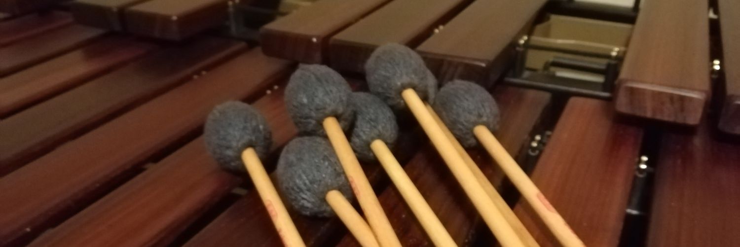 🏴󠁧󠁢󠁷󠁬󠁳󠁿Stephen Vaughan banner