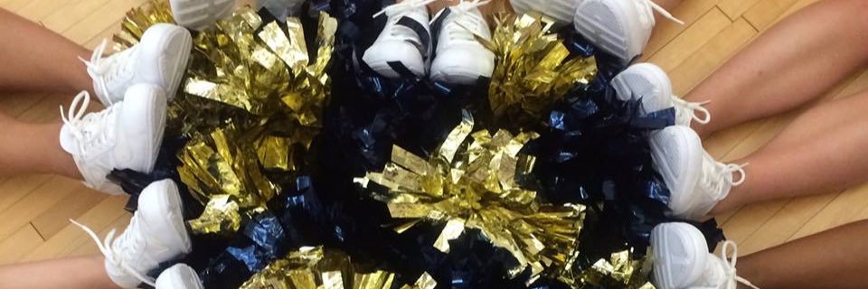 naplescheer's profile banner image
