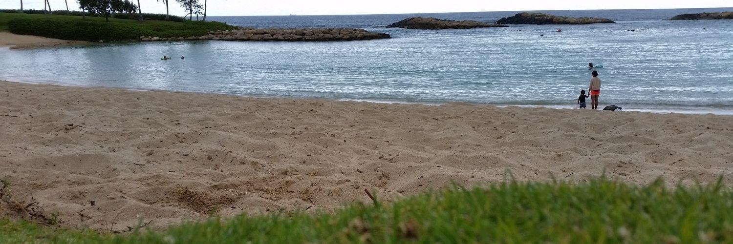 wtuifua's profile banner image