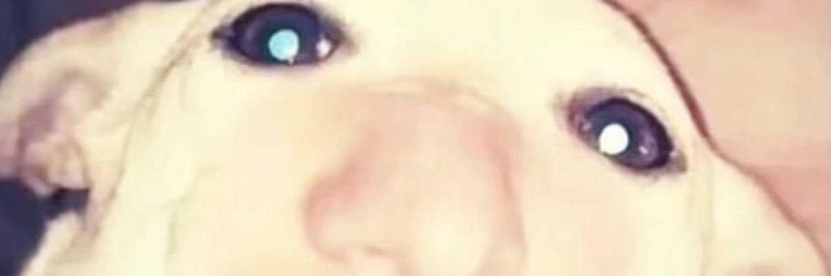 jackkbz's profile banner image