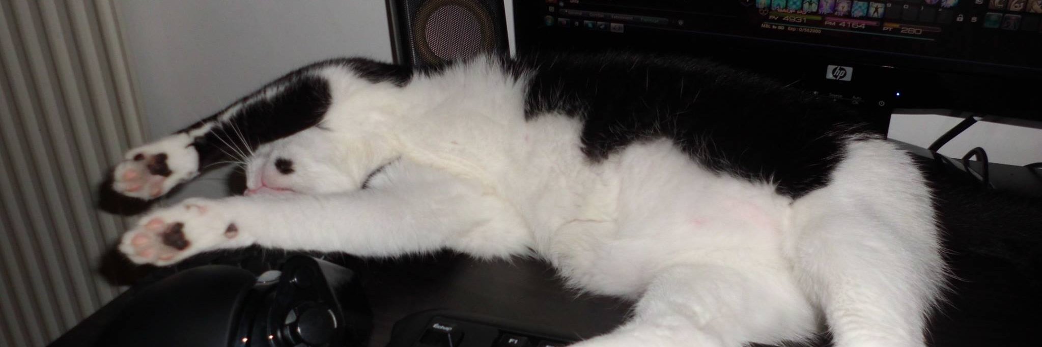 Cherialala's profile banner image