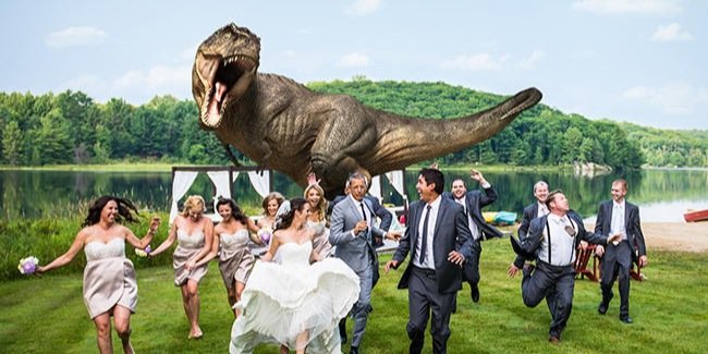 Justine Marino banner