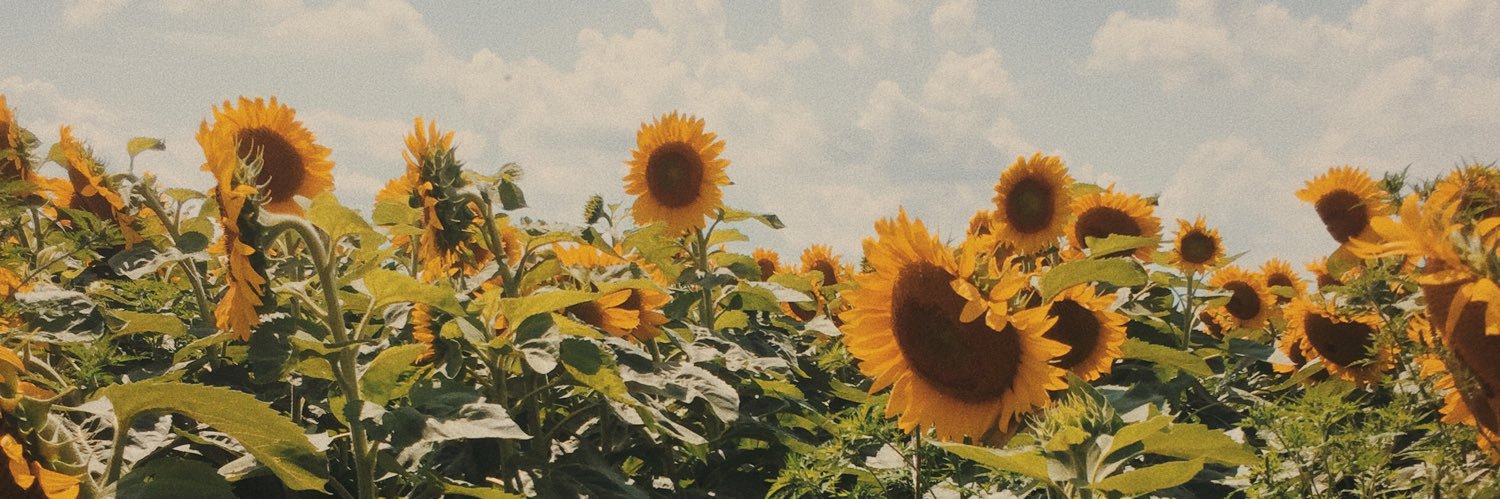 aryanaa___'s profile banner image