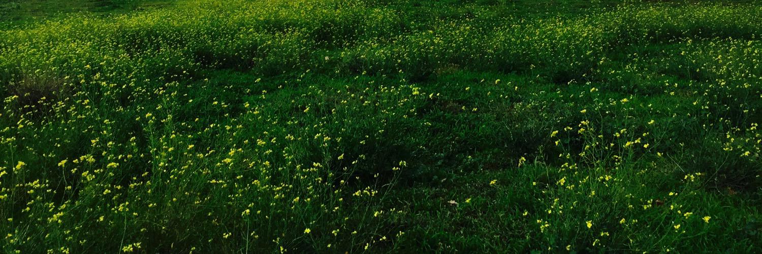 LetsBeHonestAU's profile banner image