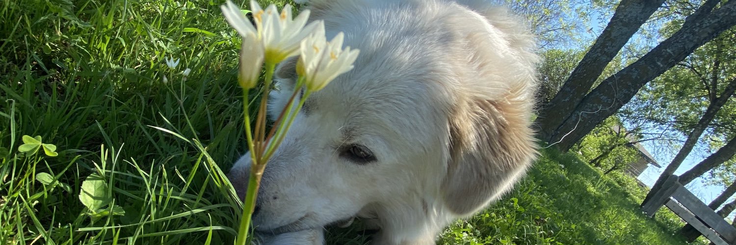 _karinadz's profile banner image