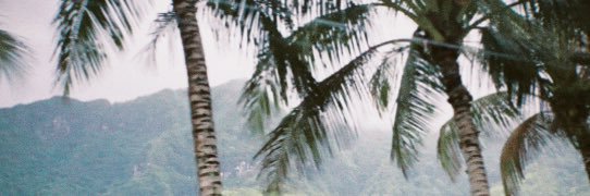 nqlcoleman's profile banner image