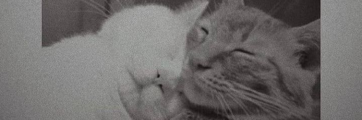 Geraldinezq_'s profile banner image