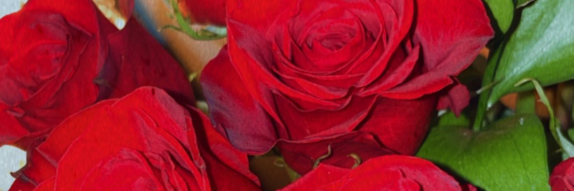 Bri_Legit's profile banner image