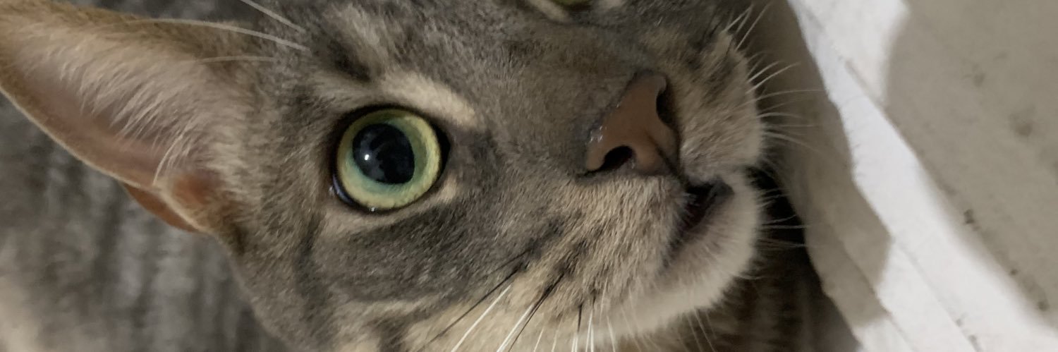 chicaconsuertte's profile banner image