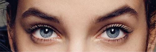 barbaraover's profile banner image