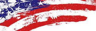 VetsNow's profile banner image
