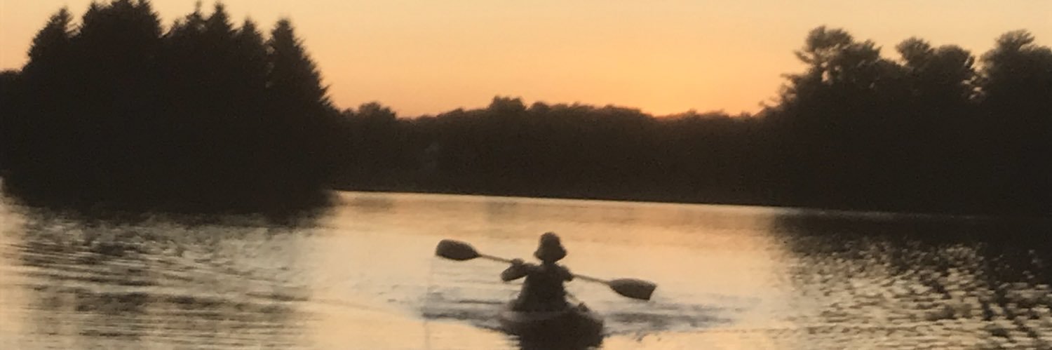 STramontozz's profile banner image
