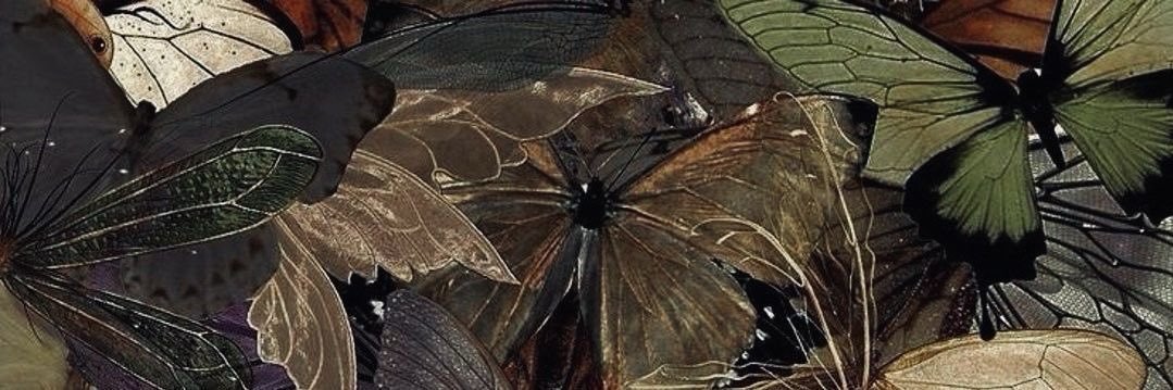 chaining_'s profile banner image