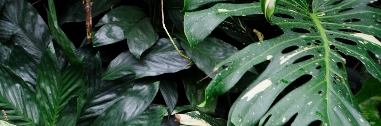 keilahiscool's profile banner image