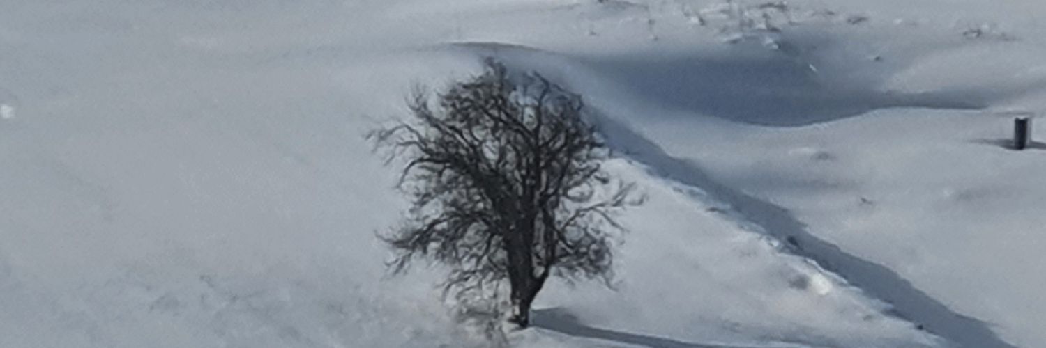 woben34's profile banner image
