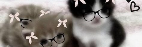 LandiiC's profile banner image